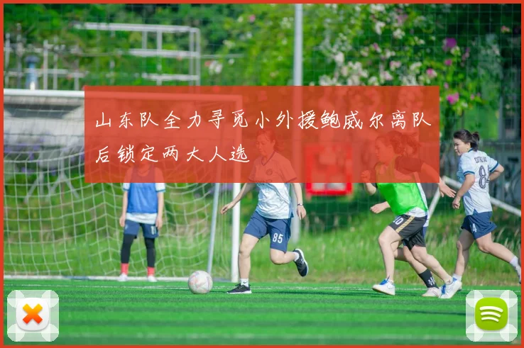 山东队全力寻觅小外援鲍威尔离队后锁定两大人选