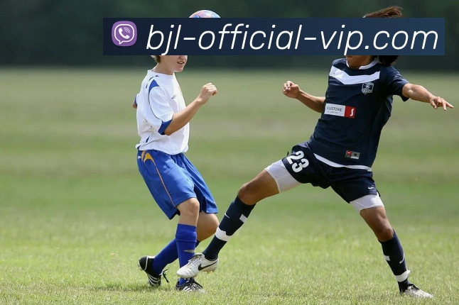 百家乐官方网站APP 体育赛事宣传图